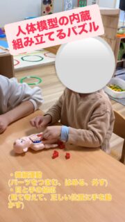 人体模型の内臓組み立てパズルであそびました🫀

「ここかな？」と考えながら、内臓のパーツを一つずつはめていく姿が見られました。
「これは心臓だ、ドクドク」「うんちするところだよ」と、知っている体の臓器名前や体について知っている知識をことばにしながら取り組んでいました。

あそびの中で「手術をします」「治してあげないと」といった声が聞かれ、人体模型の手術台やメス、ピンセットを用意すると、手術に見立てたごっこあそびへと発展しました。

「わるいところはありますか」「今から治しますね」と声をかけながら、洋服を脱がせたり、手作りのメスでお腹を切る真似をしたり、ピンセットで内臓のパーツをつまんで体の中にはめていく様子が見られました。

友だちとのやりとりでは、先生役・患者さん役・看護師役に分かれ、「どこが痛いですか？」「ここが痛くなっちゃいました」「分かりました、今から手術をしますね」と、役割になりきりながらことばのやりとりを楽しんでいました。

指先を使った操作や考える経験に加え、友だちとイメージを共有しながらやりとりを楽しむ姿がたくさん見られたあそびです。

#療育 
#保育 
#子ども
#児童発達支援 
#全ての学びはあそびから